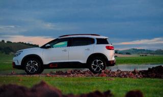 我要飞的很高 我要飞的很高